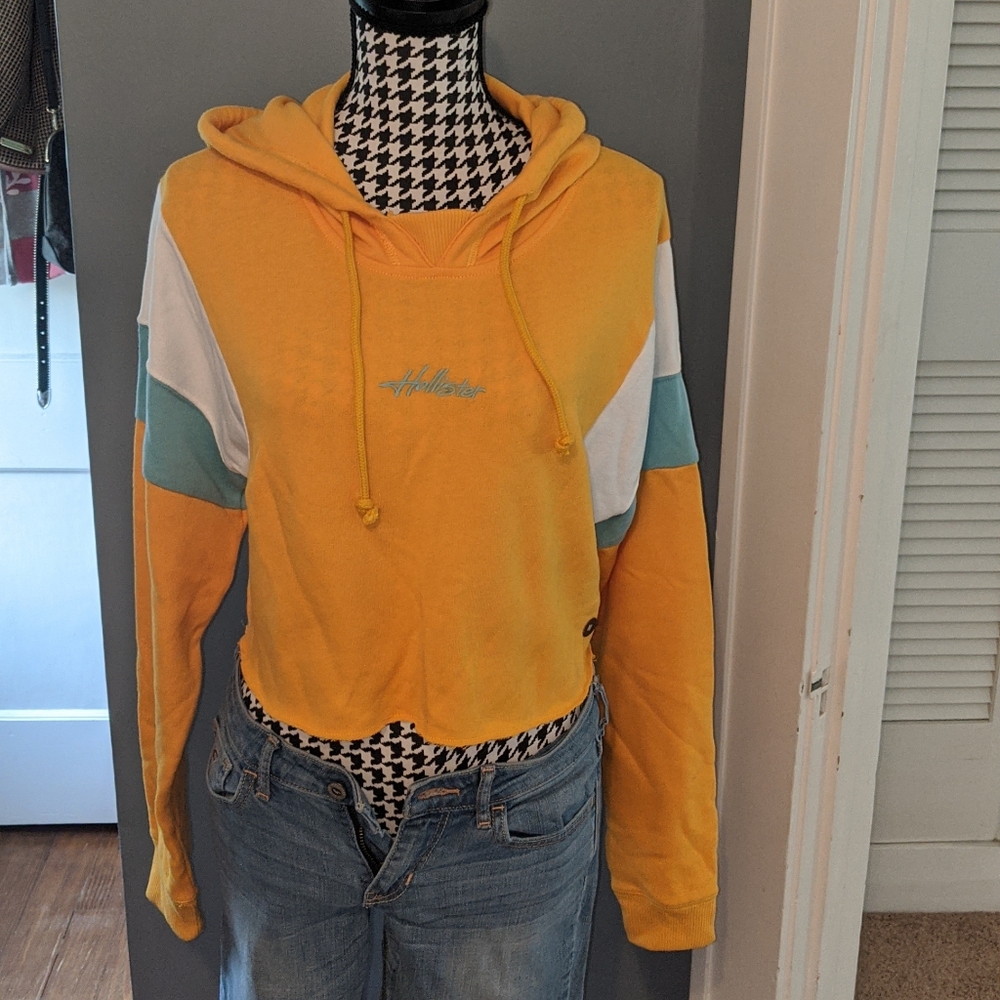 Hollister hoodie